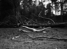 IMG_7347copy1