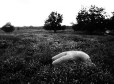 IMG_7467copy4