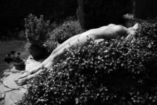 IMG_7595copy1