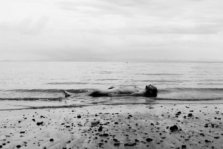 _MG_7506copy1