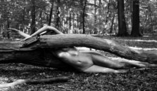 _MG_7939copy1