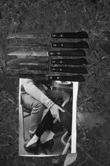 ASSEMBLAGE399