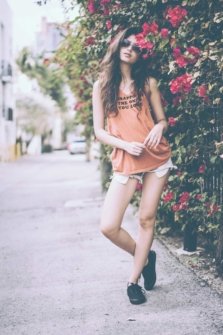 Lisi Witt model