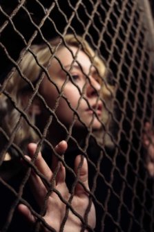 Kasey Elizabeth fence