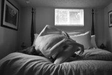 Denisa Strakova black and white